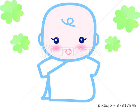 赤ちゃん　かわいい　ブルー　四つ葉　0歳児 37317848