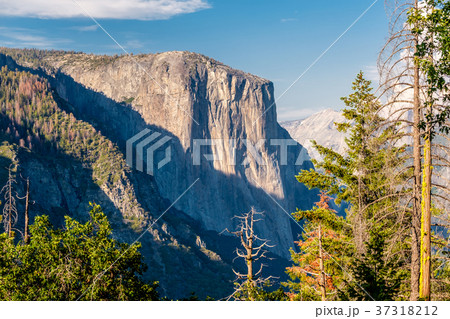 Yosemite National Park Valley summer landscape 37318212