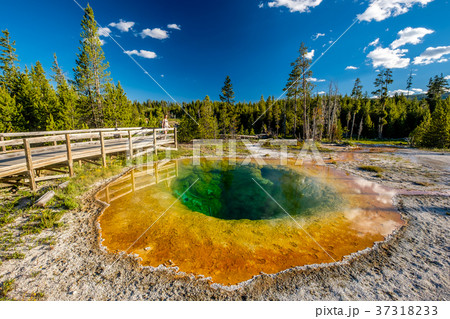 Hot thermal spring in Yellowstone Hot thermal spring in Yellowstone 37318233