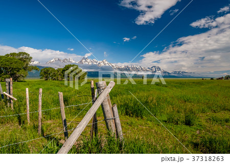 Grand Teton Mountains with low clouds 37318263