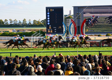 中京競馬　冬 37318750