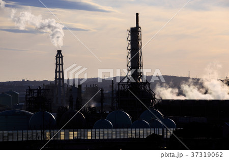 横浜根岸工場 37319062