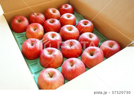 信州りんご サンフジ 信州りんご サンフジ 37320730