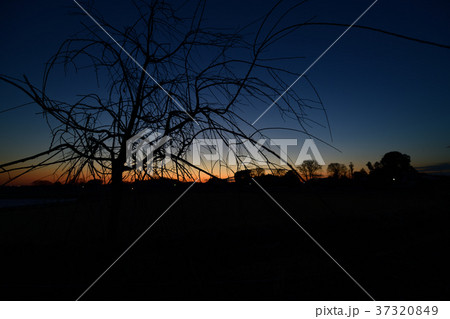 田舎の日暮れ 37320849