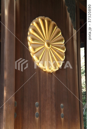 菊花紋章 菊花紋章 37320890