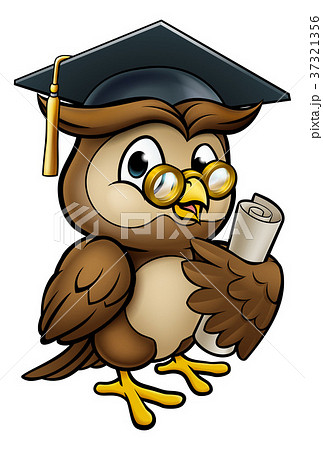 Wise Owl Graduate Character 37321356