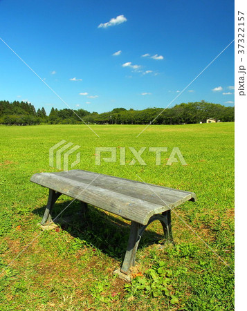 秋の公園風景 秋の公園風景 37322157