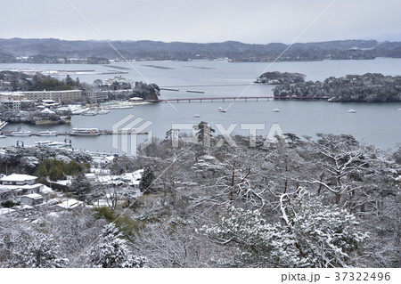 冬の松島 37322496