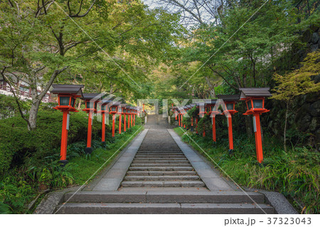鞍馬寺の参道風景 37323043
