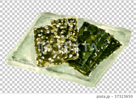 Nori seaweed and rock nori seaweed - Stock Illustration [37323650] - PIXTA