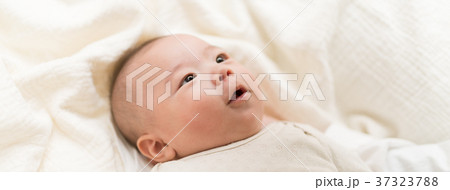 赤ちゃんと一緒 37323788