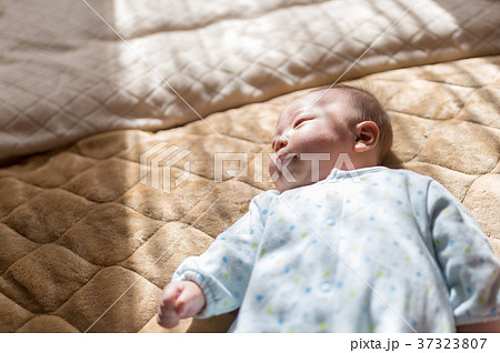 ベイビー ベイビー 37323807