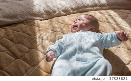 ベイビー 37323821