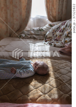 ベイビー 37323822