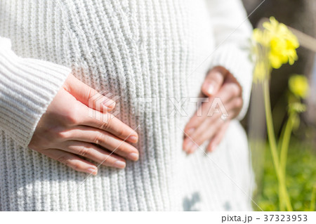 妊娠中期 妊娠中期 37323953