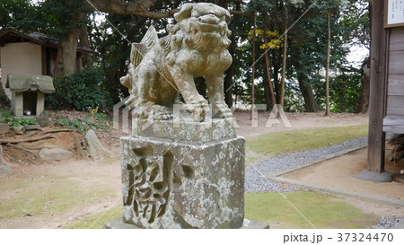 福岡神社、龗（うがみ）神社（八龍神社） 37324470