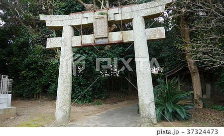 福岡神社、龗（うがみ）神社（八龍神社 37324473