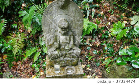 福津市鎮国寺 37324474