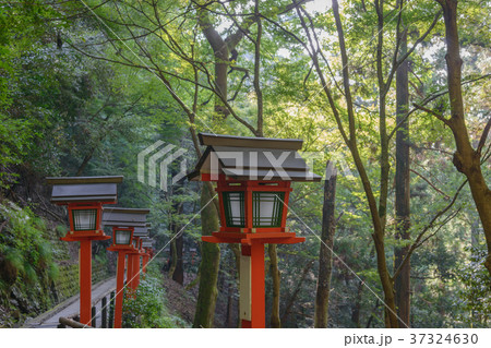 鞍馬寺　森の中の参道風景 37324630