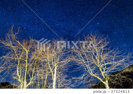 満天の星空・自然風景 37324813