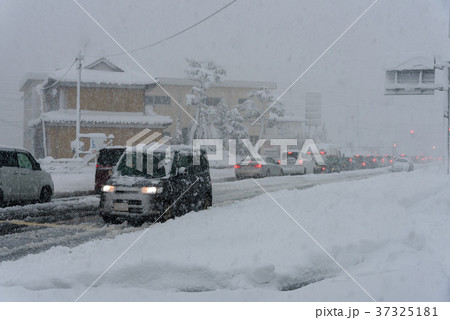 雪道 37325181