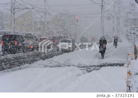 雪道 37325191