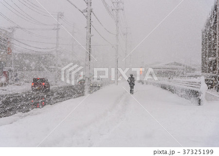 雪道 37325199