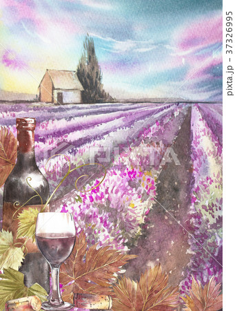 Bottles and leaves of grapes. Background with a Bottles and leaves of grapes. Background with a 37326995