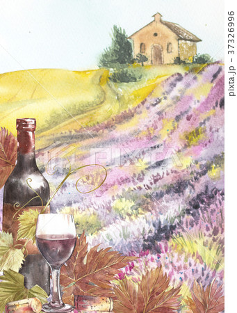 Bottles and leaves of grapes. Background with a 37326996