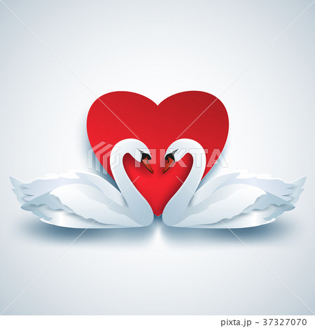 Valentines background with two 3d swans and heart 37327070