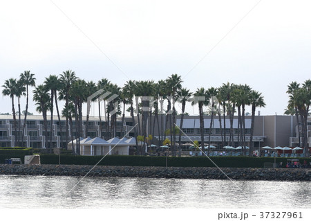 サンディエゴ湾の風景(アメリカ合衆国・カリフォルニア州) サンディエゴ湾の風景(アメリカ合衆国・カリフォルニア州) 37327961