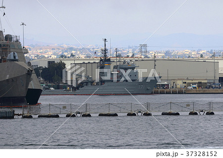 サンディエゴ湾の風景（アメリカ合衆国・カリフォルニア州） 37328152