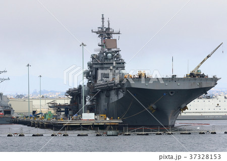 サンディエゴ湾の風景（アメリカ合衆国・カリフォルニア州） 37328153