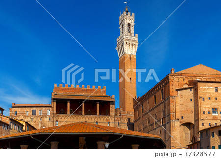 Siena. View of the old city district. 37328577