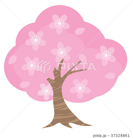 桜 37328861