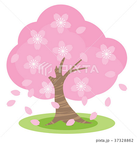桜のイラスト素材 37328862 Pixta
