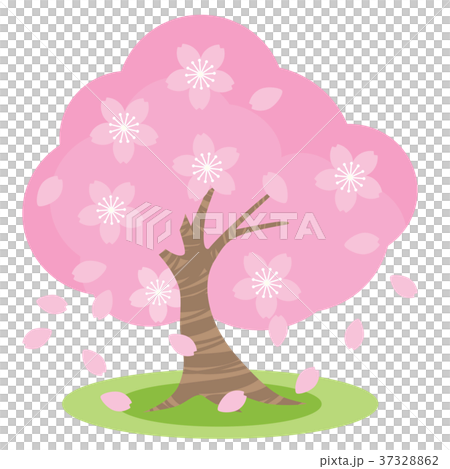 桜 37328862