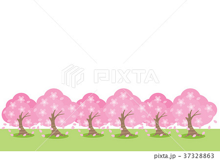 桜並木 37328863
