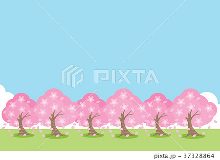 桜並木 37328864