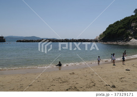 和歌浦湾 和歌浦湾 37329171