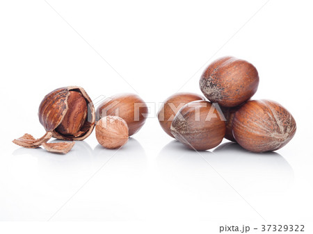 Raw hazelnuts with shell on white background 37329322