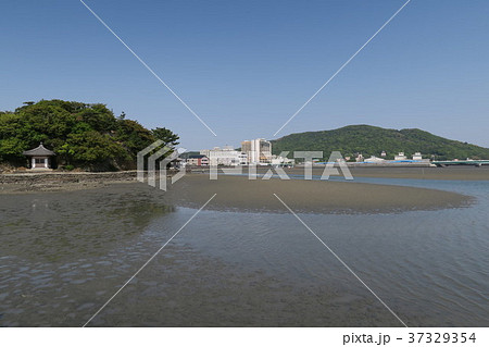 和歌浦干潟 和歌浦干潟 37329354