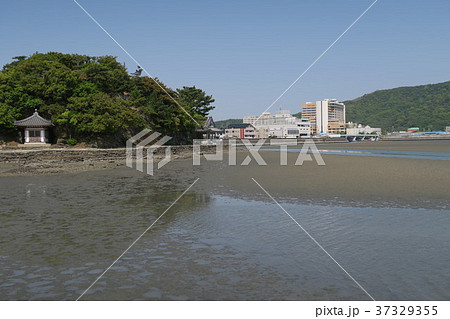 和歌浦干潟 和歌浦干潟 37329355