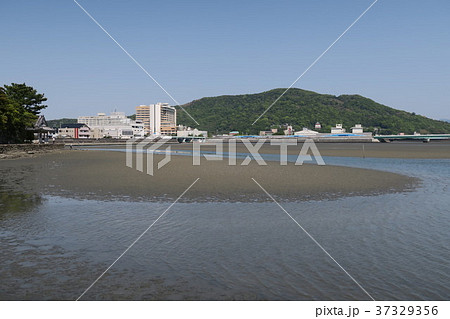 和歌浦干潟 和歌浦干潟 37329356