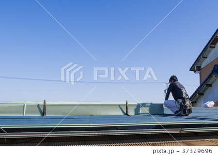 屋根工事 ガルバリウム鋼板を貼る屋根職人 屋根工事 ガルバリウム鋼板を貼る屋根職人 37329696