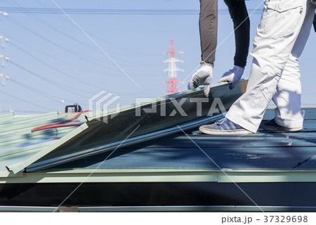 屋根工事 ガルバリウム鋼板を敷き詰めている屋根職人 屋根工事 ガルバリウム鋼板を敷き詰めている屋根職人 37329698