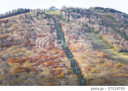 紅葉を見るスキー場のリフト風景 37329793