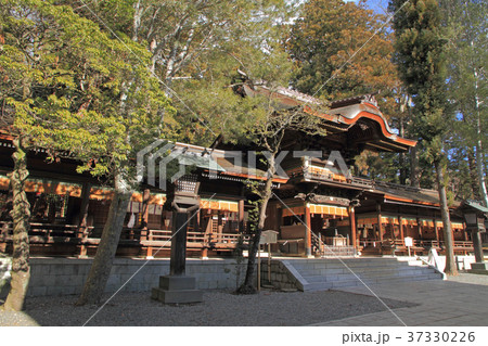 諏訪大社下社秋宮　幣拝殿 37330226
