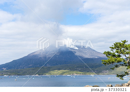桜島雪化粧 桜島雪化粧 37330321