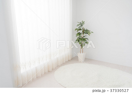 リビング 窓 カーテン 観葉植物の写真素材